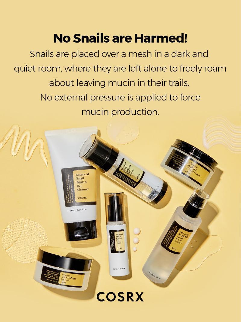 ALL ABOUT SNAIL KIT